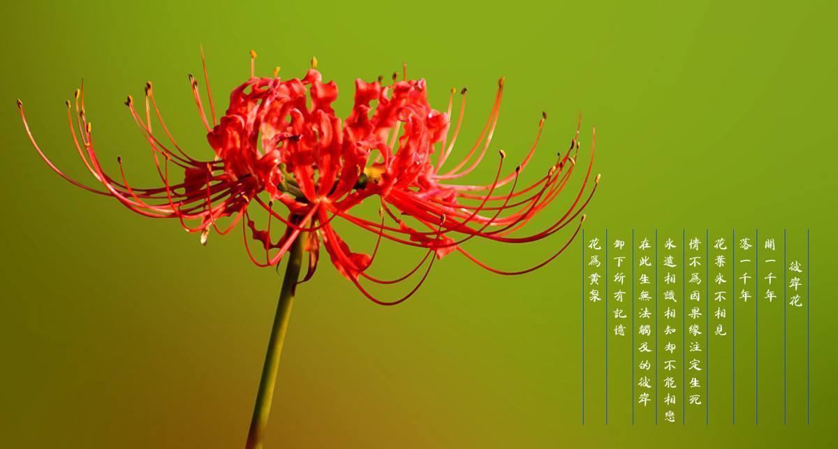 泛亚电竞|女人补血首先要补阴吗?(图1) 泛亚电竞平台