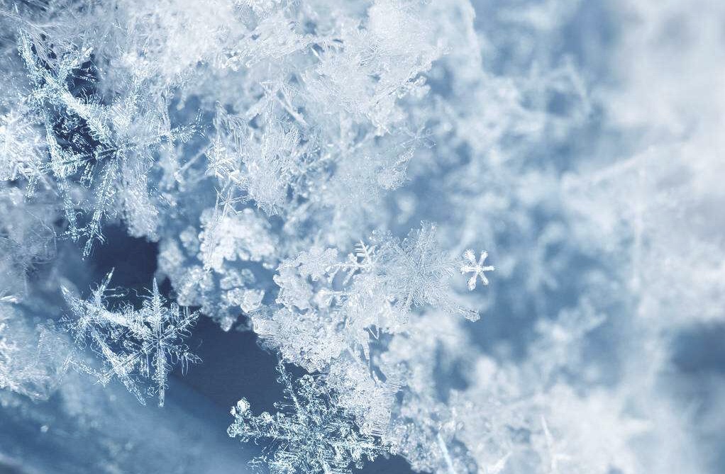 “日本制造”变“日本造假” 背后是因为什么?|泛亚电竞平台(图2) 泛亚电竞