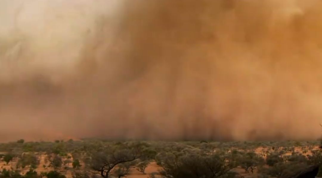 【泛亚电竞官网】细菌性阴道炎与婚育(图1) 泛亚电竞官网