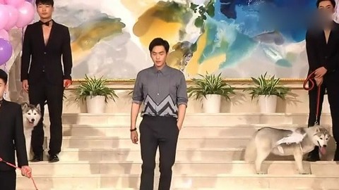 羊肚菌多少钱一斤?为什么那么贵?羊肚菌的功效作用-泛亚电竞官网(图1) 泛亚电竞