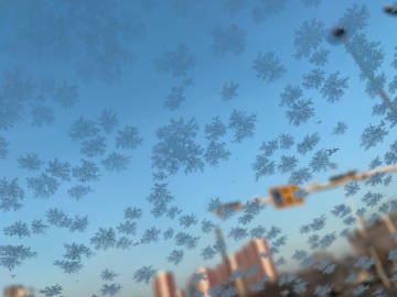 羊肚菌多少钱一斤?为什么那么贵?羊肚菌的功效作用-泛亚电竞官网(图3) 泛亚电竞