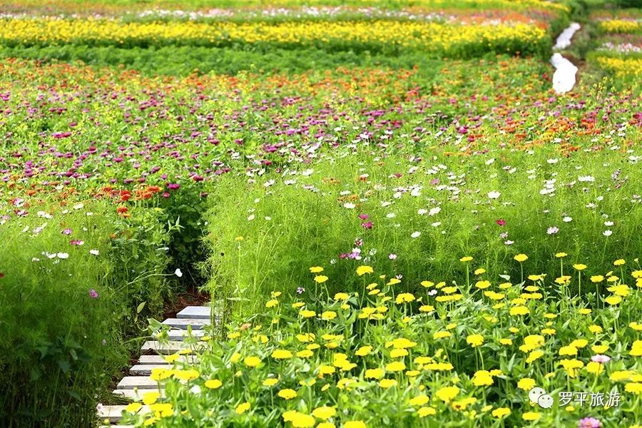 北京已试点拆围墙 由5米宽楼间“缝儿”变市政路|泛亚电竞官网(图2) 泛亚电竞官网