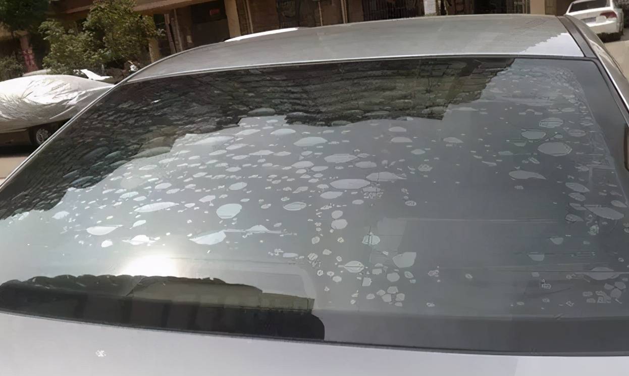 
贵阳汽车贴膜选择大全！‘泛亚电竞平台’(图1)