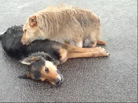 泛亚电竞-霉菌阴道炎怎样用药好呢(图3) 泛亚电竞官网