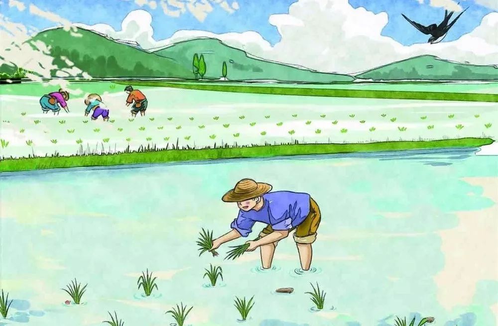 【泛亚电竞官网】休闲T恤搭配牛仔宽腿裤,让你时尚又白搭(图2) 泛亚电竞官网