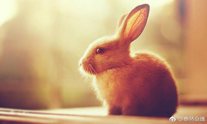 泛亚电竞官网|万科10亿收购伦敦大楼 多房企海外扩张机会与风险并存(图2) 泛亚电竞官网