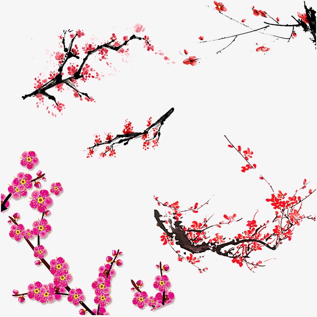 泛亚电竞官网-寿宁“结亲”帮扶提升贫困户“造血”功能(图3) 泛亚电竞