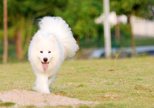 新疆:新疆:休闲观光农业引发产业新变革:泛亚电竞(图3) 泛亚电竞平台