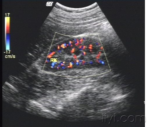 新疆:新疆:休闲观光农业引发产业新变革:泛亚电竞(图1) 泛亚电竞官网