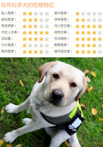 泛亚电竞:哪些证书在建筑行业中最有发展前景?(图4) 泛亚电竞平台