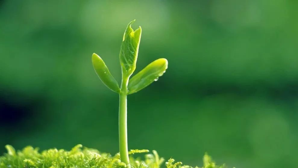蝴蝶结的打法 2种打法巧妙的蝴蝶结用在哪都OK的“泛亚电竞平台”(图2) 泛亚电竞官网
